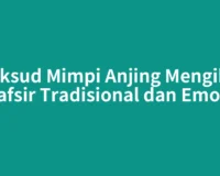 Maksud Mimpi Anjing Mengikut Tafsir Tradisional dan Emosi