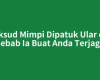 Maksud Mimpi Dipatuk Ular dan Sebab Ia Buat Anda Terjaga