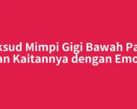 Maksud Mimpi Gigi Bawah Patah dan Kaitannya dengan Emosi