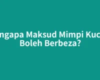 Mengapa Maksud Mimpi Kucing Boleh Berbeza?
