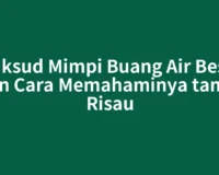 Maksud Mimpi Buang Air Besar dan Cara Memahaminya tanpa Risau