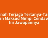 Pernah Terjaga Tertanya-Tanya Akan Maksud Mimpi Cendawan Ini Jawapannya