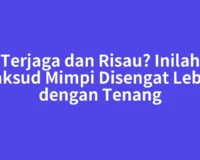 Terjaga dan Risau? Inilah Maksud Mimpi Disengat Lebah dengan Tenang
