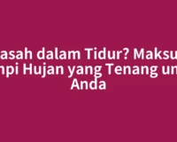 Basah dalam Tidur? Maksud Mimpi Hujan yang Tenang untuk Anda