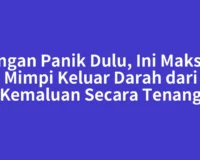 Jangan Panik Dulu, Ini Maksud Mimpi Keluar Darah dari Kemaluan Secara Tenang