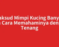Maksud Mimpi Kucing Banyak dan Cara Memahaminya dengan Tenang