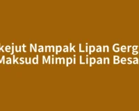 Terkejut Nampak Lipan Gergasi? Maksud Mimpi Lipan Besar