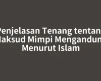 Penjelasan Tenang tentang Maksud Mimpi Mengandung Menurut Islam