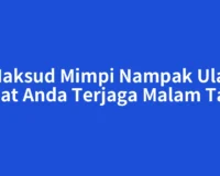 Maksud Mimpi Nampak Ular Buat Anda Terjaga Malam Tadi